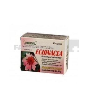 Echinacea 500 mg 40 capsule