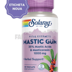 Mastic Gum Extract 45 capsule