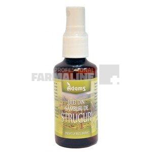 Ulei din samburi de struguri 10 ml