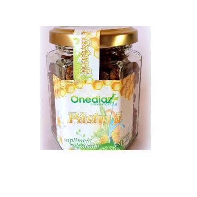 Pastura 100g ONE