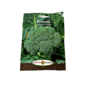 Seminte brocoli Ramoso Calabrese 1 gr